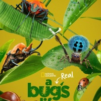 Review: A Real Bug's Life (Disney+)
